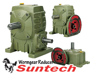 wormgear reducer